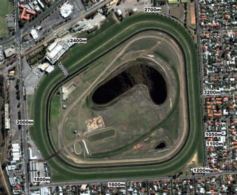 morphettville race results|morphettville parks racing results.